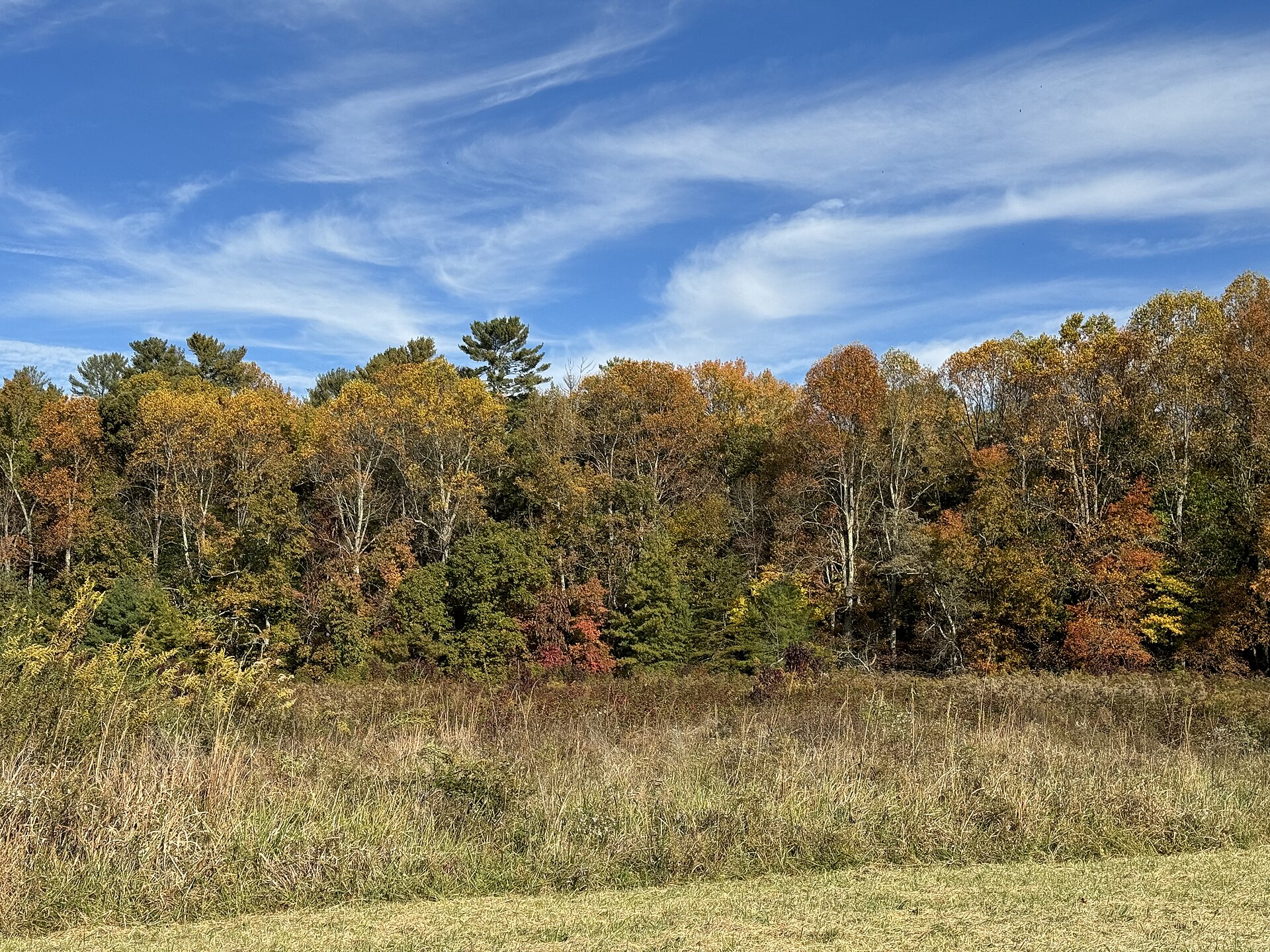 Cades Cove - October 2023 - Sarah Stierch 05